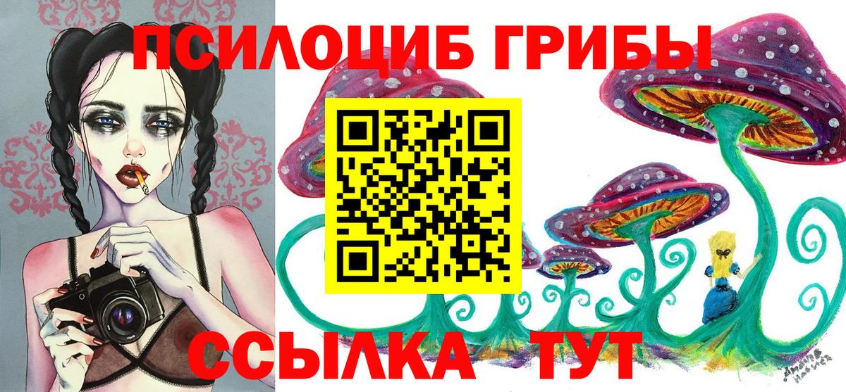 Псилоцибиновые грибы мицелий Медногорск
