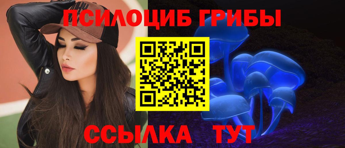 купить наркотики цена  Псилоцибиновые грибы MAGIC MUSHROOMS  Вход с VPN  Медногорск 